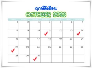 rekdee-october2023
