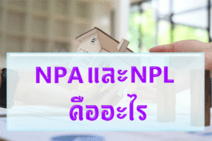 npaและnplคืออะไร