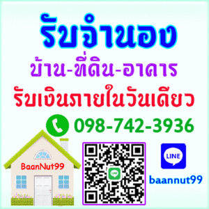 นายทุนจำนอง