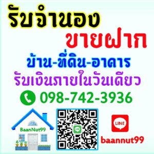 นายทุนจำนอง